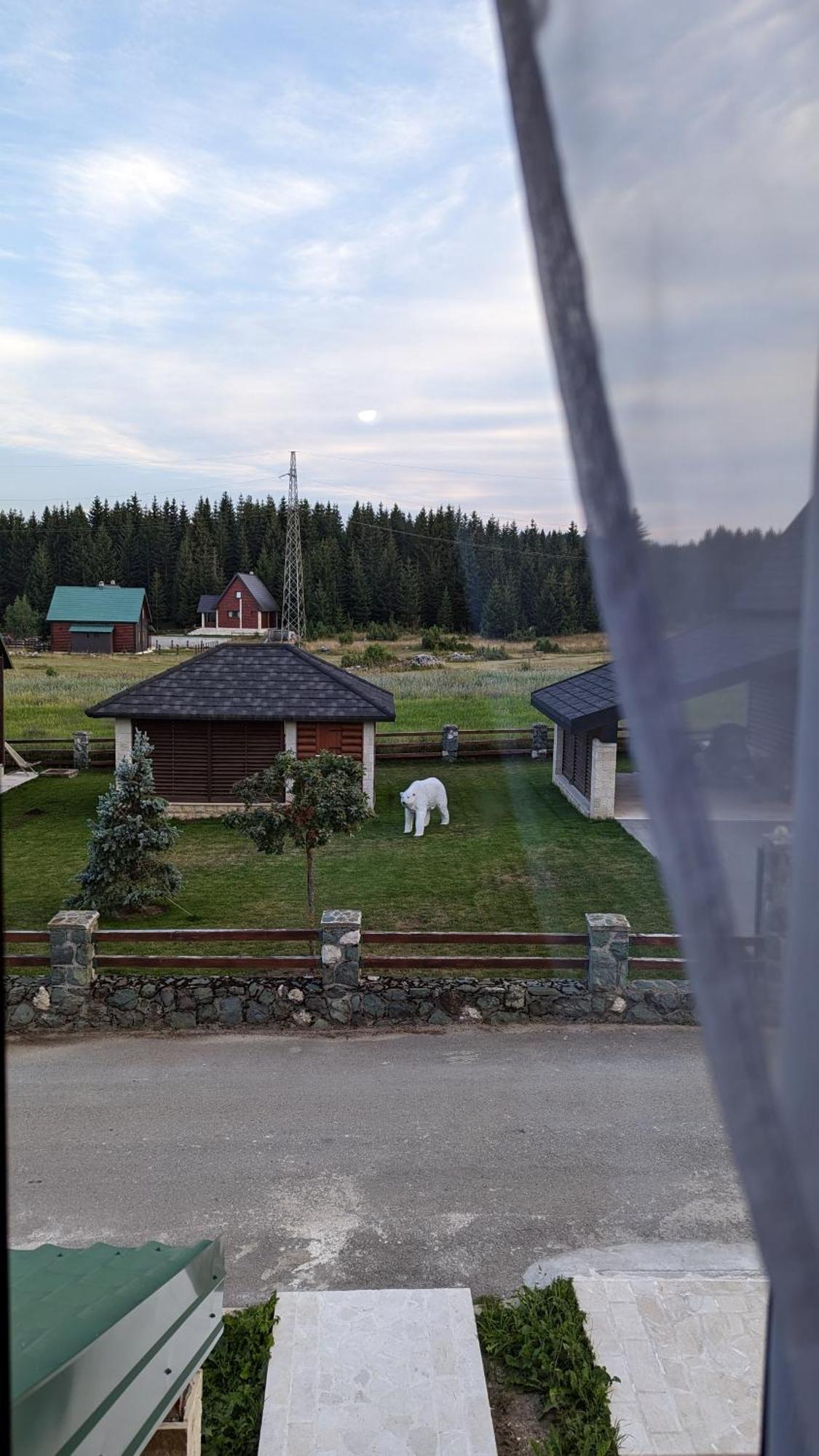 Apartament Mountain Haven Deluxe Žabljak Zewnętrze zdjęcie