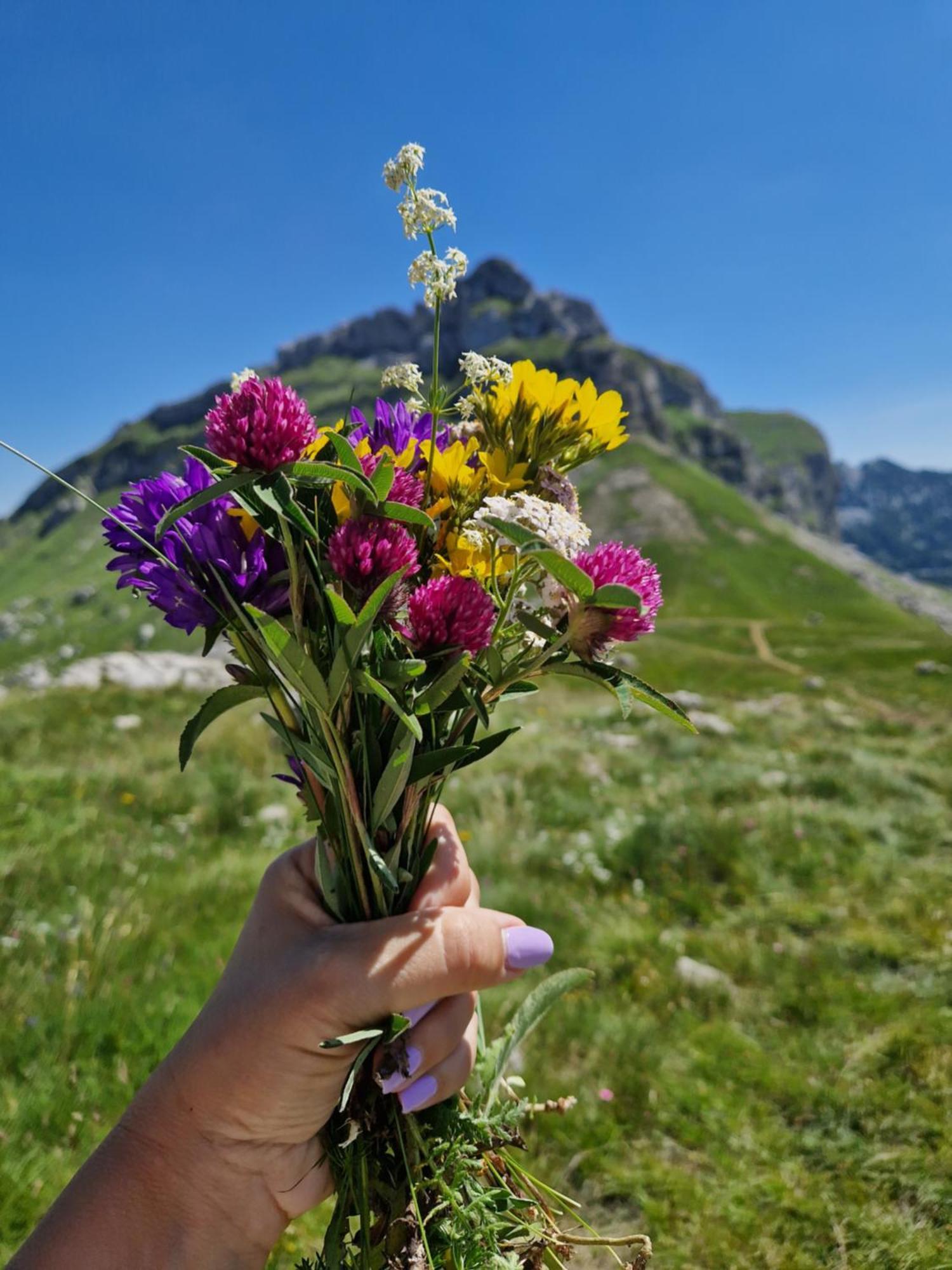 Apartament Mountain Haven Deluxe Žabljak Zewnętrze zdjęcie